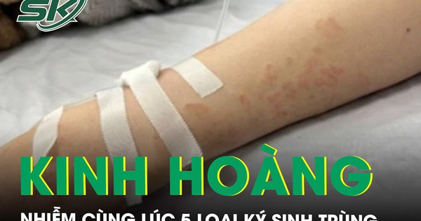 Người phụ nữ nhiễm cùng lúc 5 loại ký sinh trùng