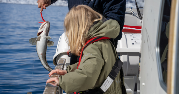 Xu hướng lựa chọn DHA cho trẻ nhỏ: Không chỉ là hàm lượng, mà là chất lượng toàn diện