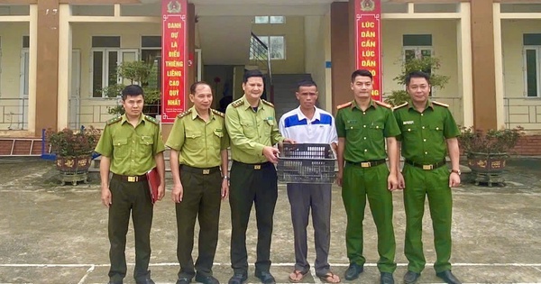 Gần 50 động vật quý hiếm hồi sinh giữa đại ngàn xứ Thanh