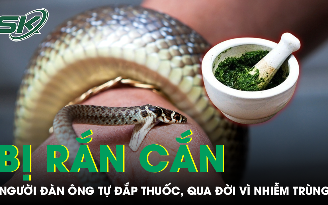 Đắp lá thuốc chữa rắn cắn, người đàn ông trẻ qua đời thương tâm