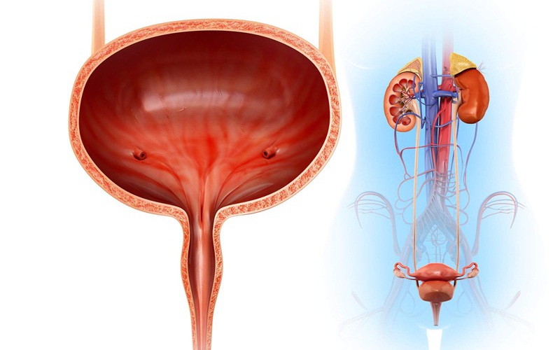 Thói quen xấu gây sỏi bàng quang