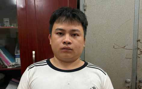 Khởi tố Võ Thị Ngọc Lan vì trốn thuế hơn 8,6 tỷ đồng- Ảnh 2.