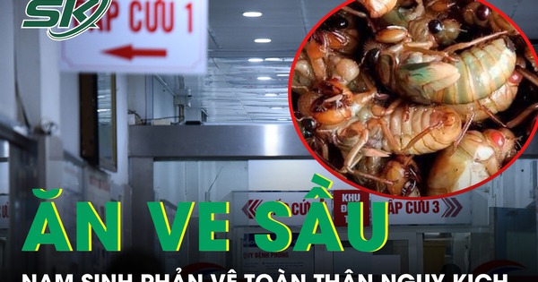 Ăn 2 con ve sầu, nam sinh 17 tuổi nhập viện lúc nửa đêm vì phản vệ toàn thân