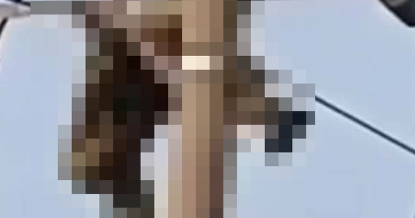 Nam sinh lớp 8 tử vong trên cột điện trung thế