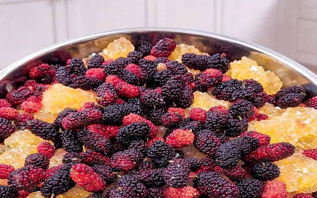 Dâu tằm ngâm nổi váng: Độc tố cần loại bỏ hay chỉ hớt váng là được?