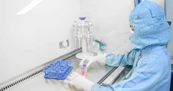 Vinmec làm chủ kỹ thuật khó bậc nhất, mở lại hy vọng cho bệnh nhân ung thư máu kháng trị