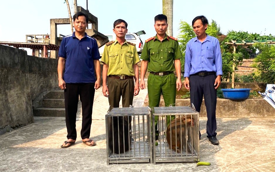 Bắt được hai cá thể khỉ quý hiếm đi lạc, người đàn ông vội giao nộp cho công an