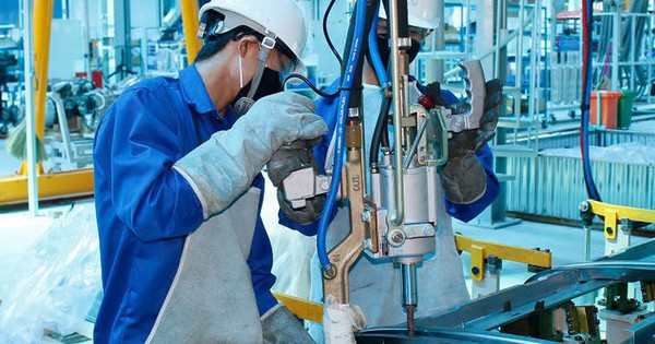 Nghỉ hưu trước tuổi được quy định thế nào?