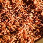 Gạo lứt có thực sự tốt hơn gạo trắng để giảm cân?