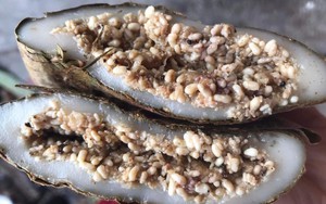 'Thủ phạm' gây dị ứng trong món bánh trứng kiến độc đáo?