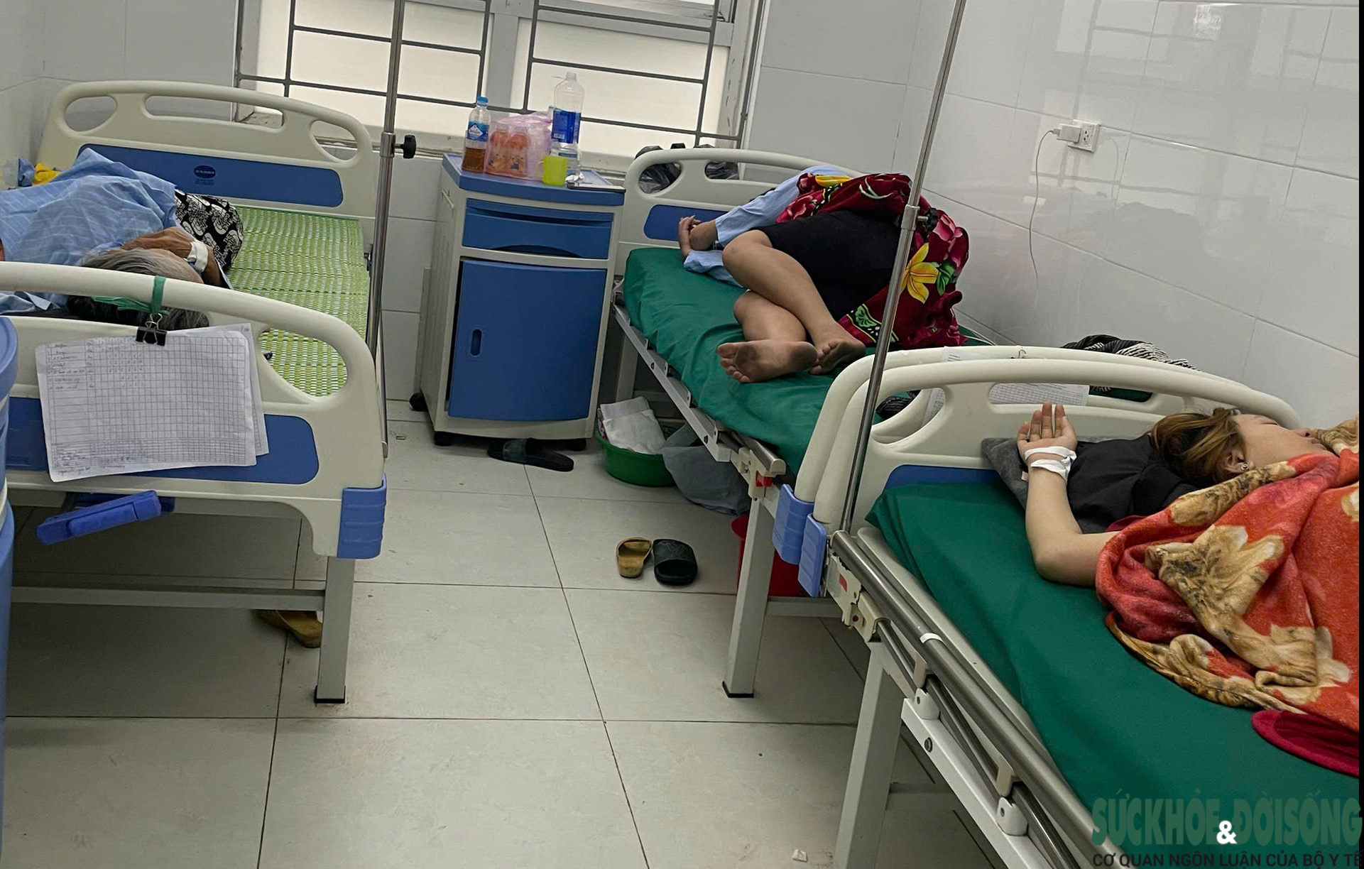 Nghệ An kêu gọi người từng mua bánh mì Quỳnh theo dõi sức khỏe sau vụ nghi ngộ độc thực phẩm- Ảnh 3.