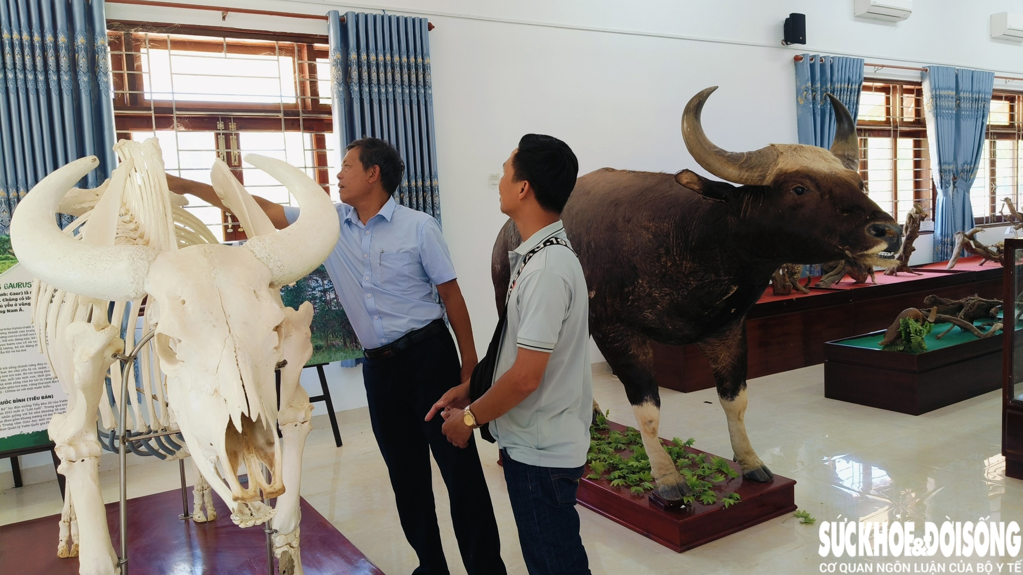 Đàn động vật quý hiếm ở Khánh Hòa thích nghi tốt, mở hướng bảo tồn nguồn gen quý- Ảnh 5.