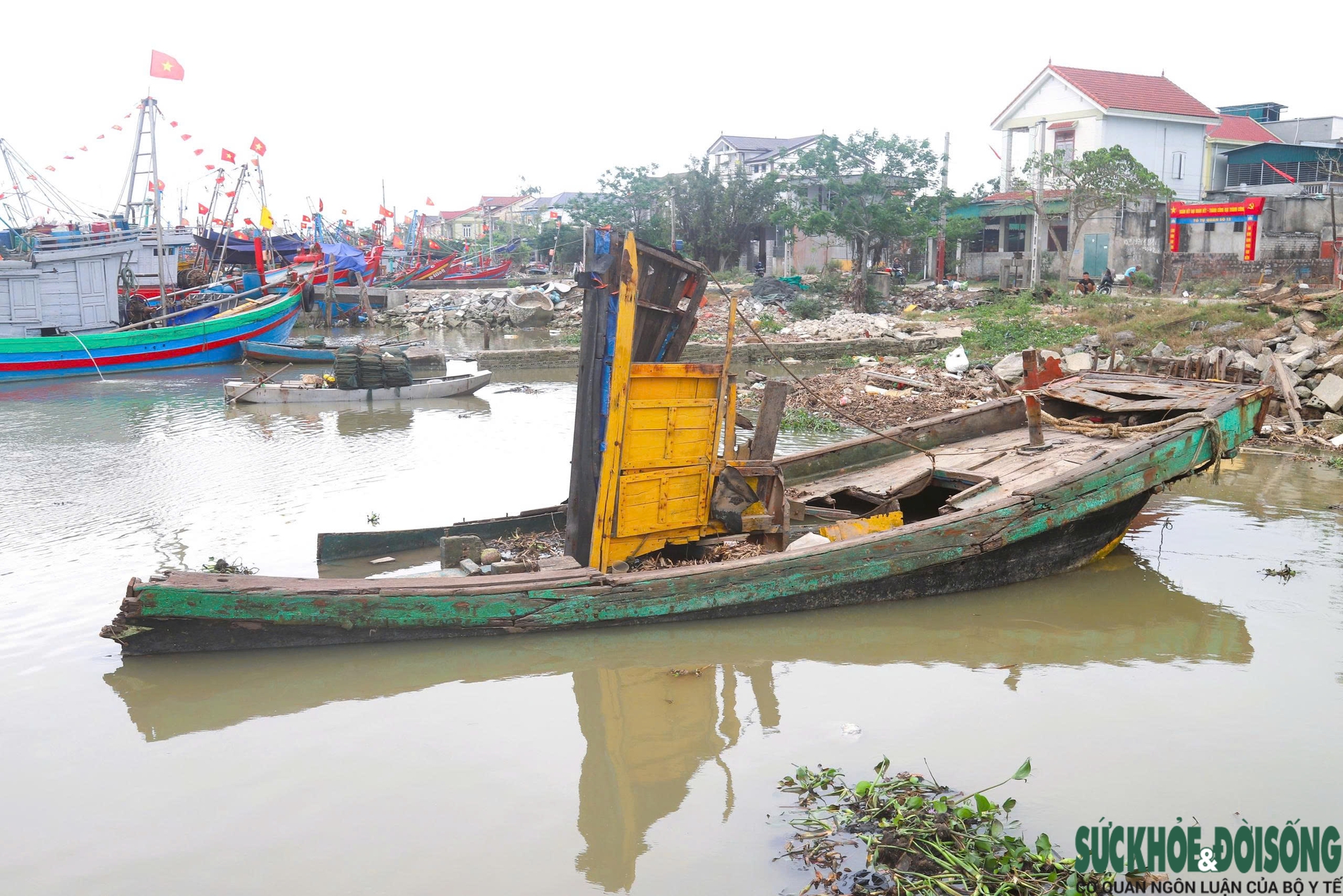 'Nghĩa địa tàu cá' làm khó ngư dân- Ảnh 4.