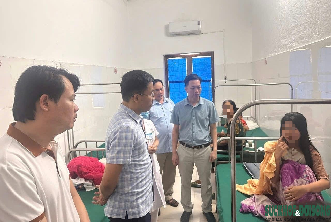 Phát hiện vi khuẩn Salmonella trong bánh mì gây ra vụ ngộ độc ở Nghệ An- Ảnh 1.