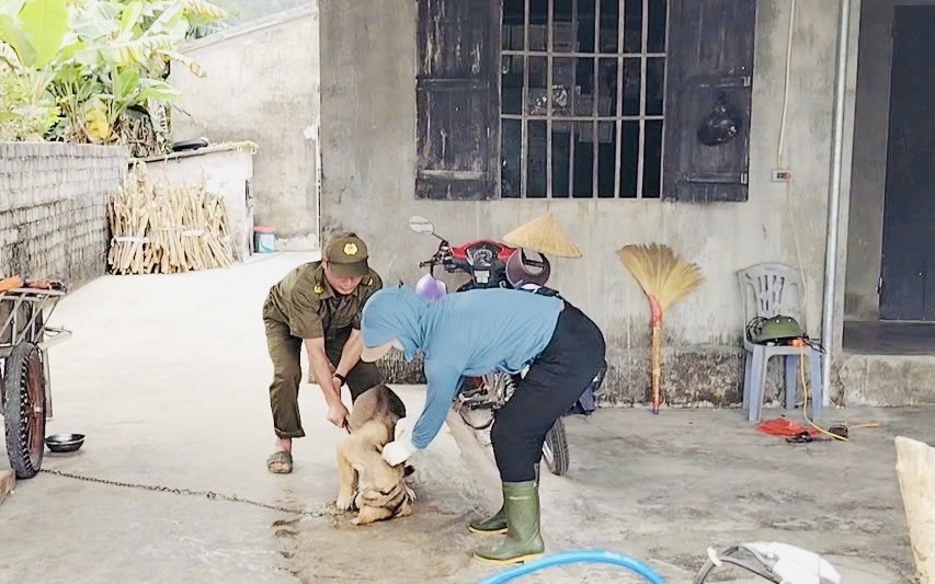 Cảnh giác bệnh dại tăng cao mùa nắng nóng