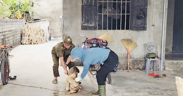 Cảnh giác bệnh dại tăng cao mùa nắng nóng