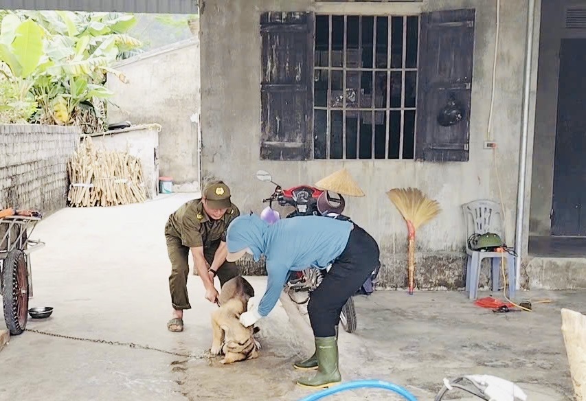 Cảnh giác bệnh dại tăng cao mùa nắng nóng- Ảnh 5.
