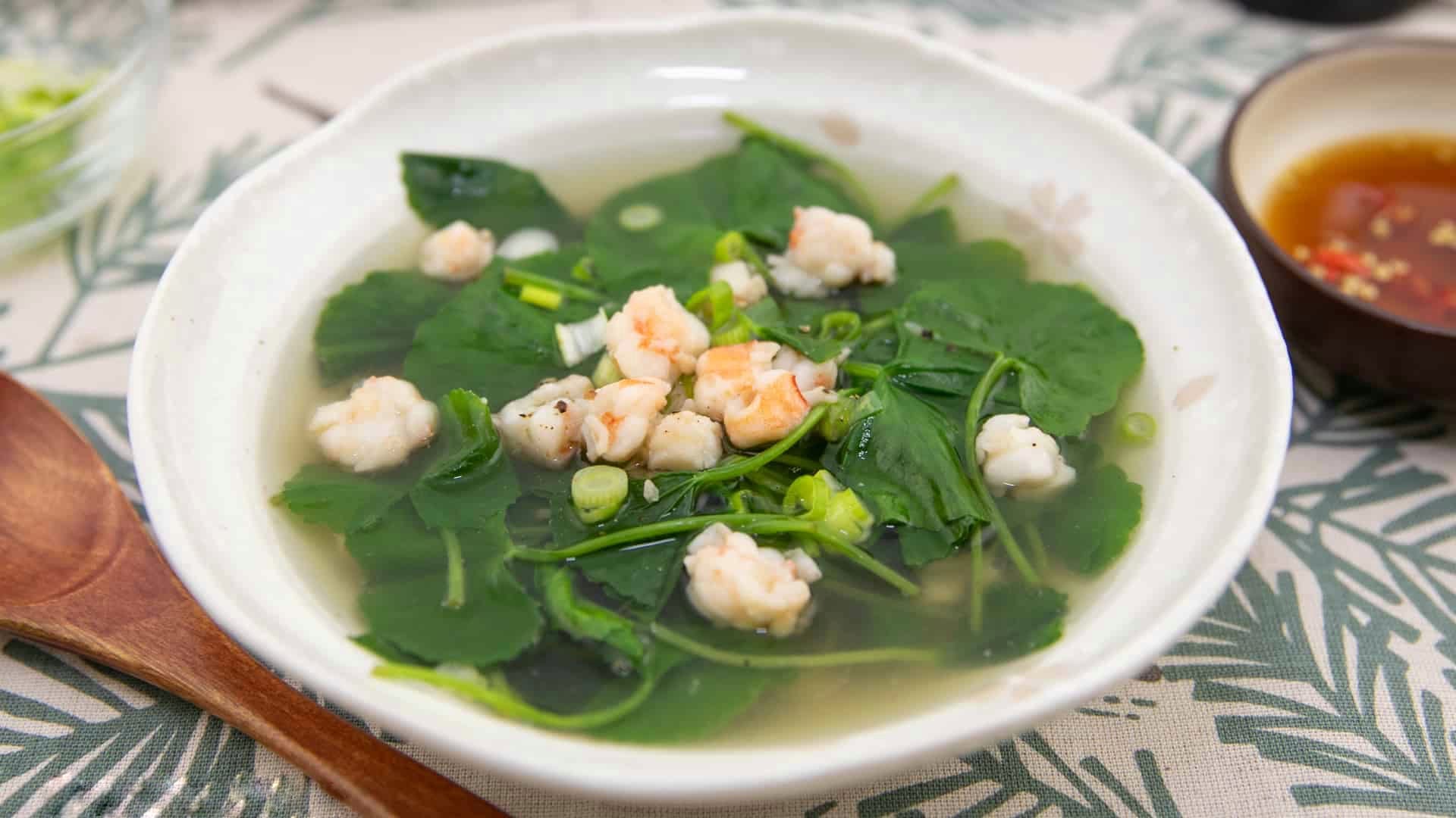 Giải nhiệt, thanh lọc cơ thể với rau má- Ảnh 3.