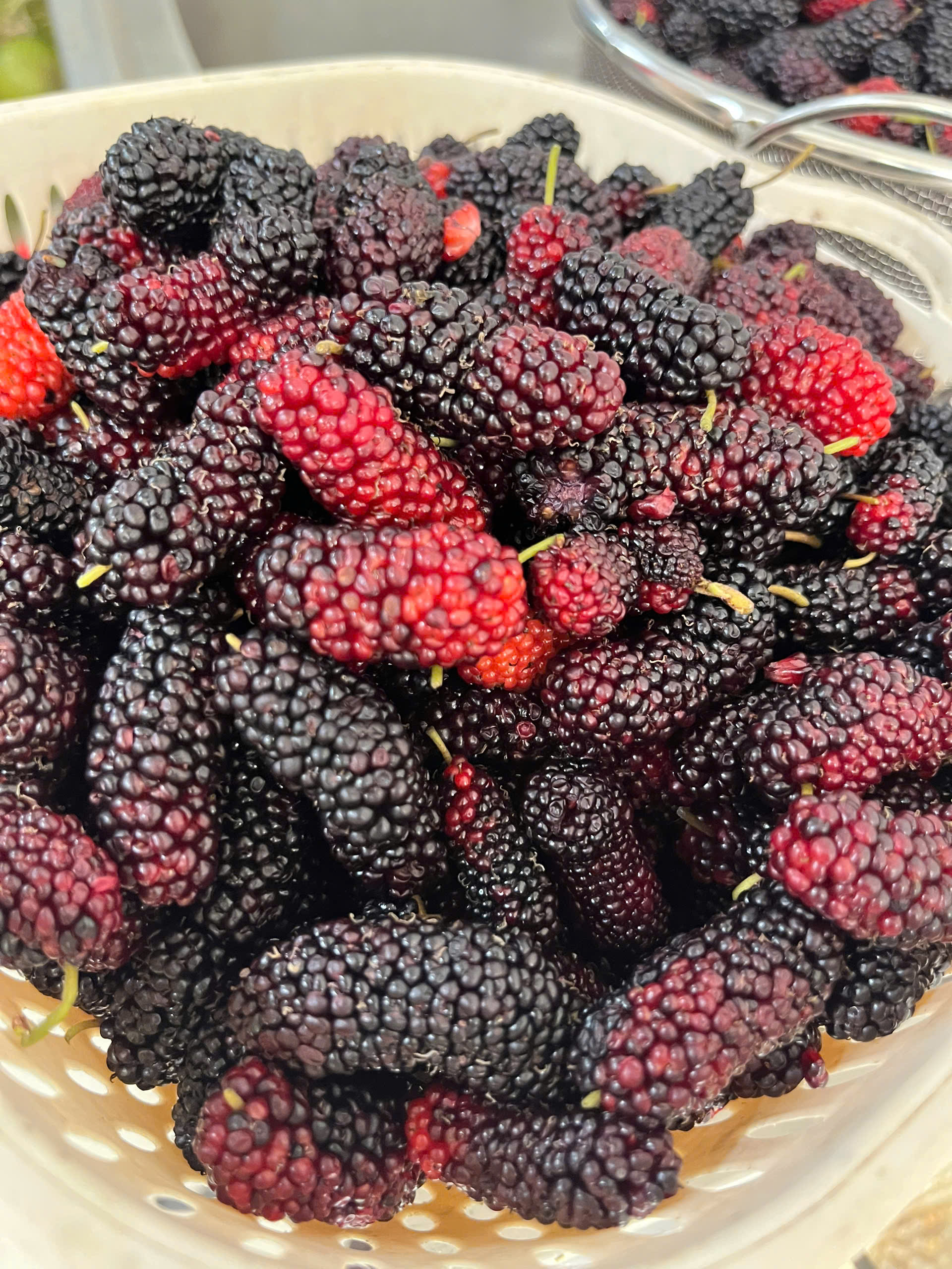 5 biến tấu món ăn ngon miệng từ quả dâu tằm- Ảnh 1.