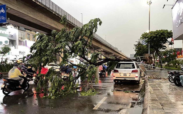 Không khí lạnh tiến sát biên giới nước ta, cảnh báo dông lốc rất mạnh từ đêm nay