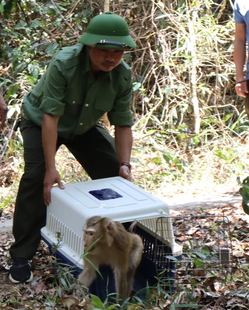 Hình ảnh ấn tượng về động vật quý hiếm khi được thả về rừng- Ảnh 1.