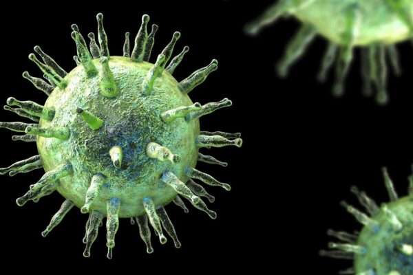Các nhà khoa học vừa tìm ra cách ngăn chặn loại virus lây nhiễm tới 95% dân số thế giới