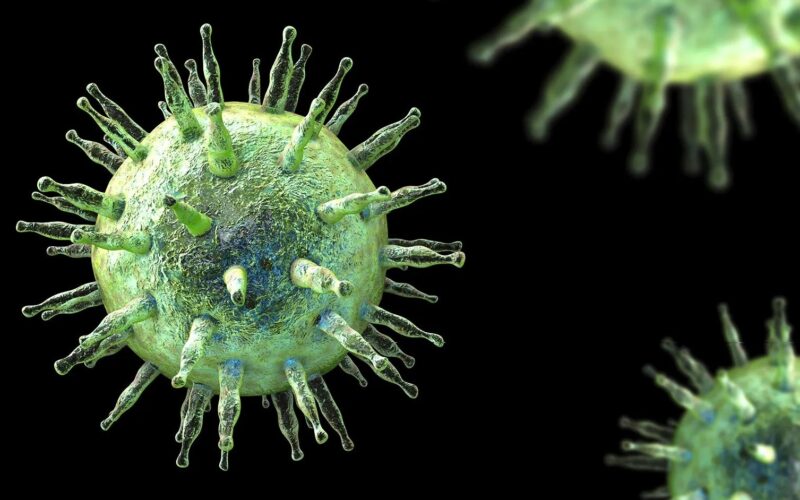 Các nhà khoa học vừa tìm ra cách ngăn chặn loại virus lây nhiễm tới 95% dân số thế giới
