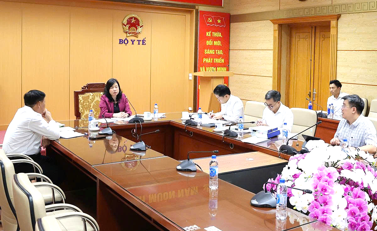 Bộ trưởng Đào Hồng Lan: Hoàn thiện đồng bộ hệ thống pháp luật tạo hành lang pháp lý cho hoạt động y tế- Ảnh 6.