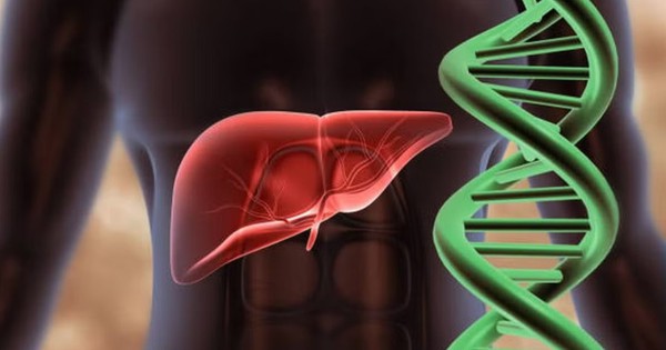 Lần đầu lập bản đồ gene gan người, hé lộ cơ chế bệnh gan nhiễm mỡ
