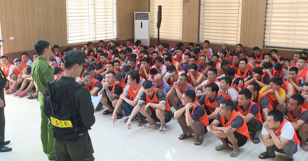 Triệt phá trường gà quốc tế Viêng Xay quy mô đặc biệt lớn