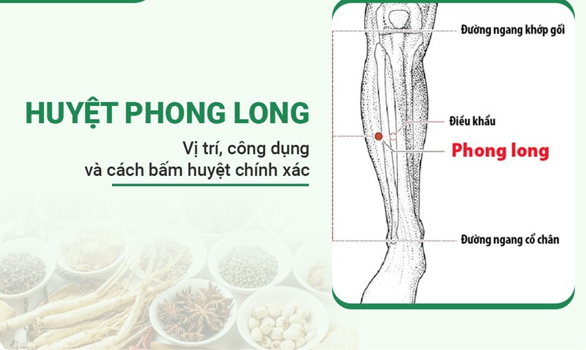 5 huyệt đạo giúp giảm chóng mặt, ù tai- Ảnh 4.