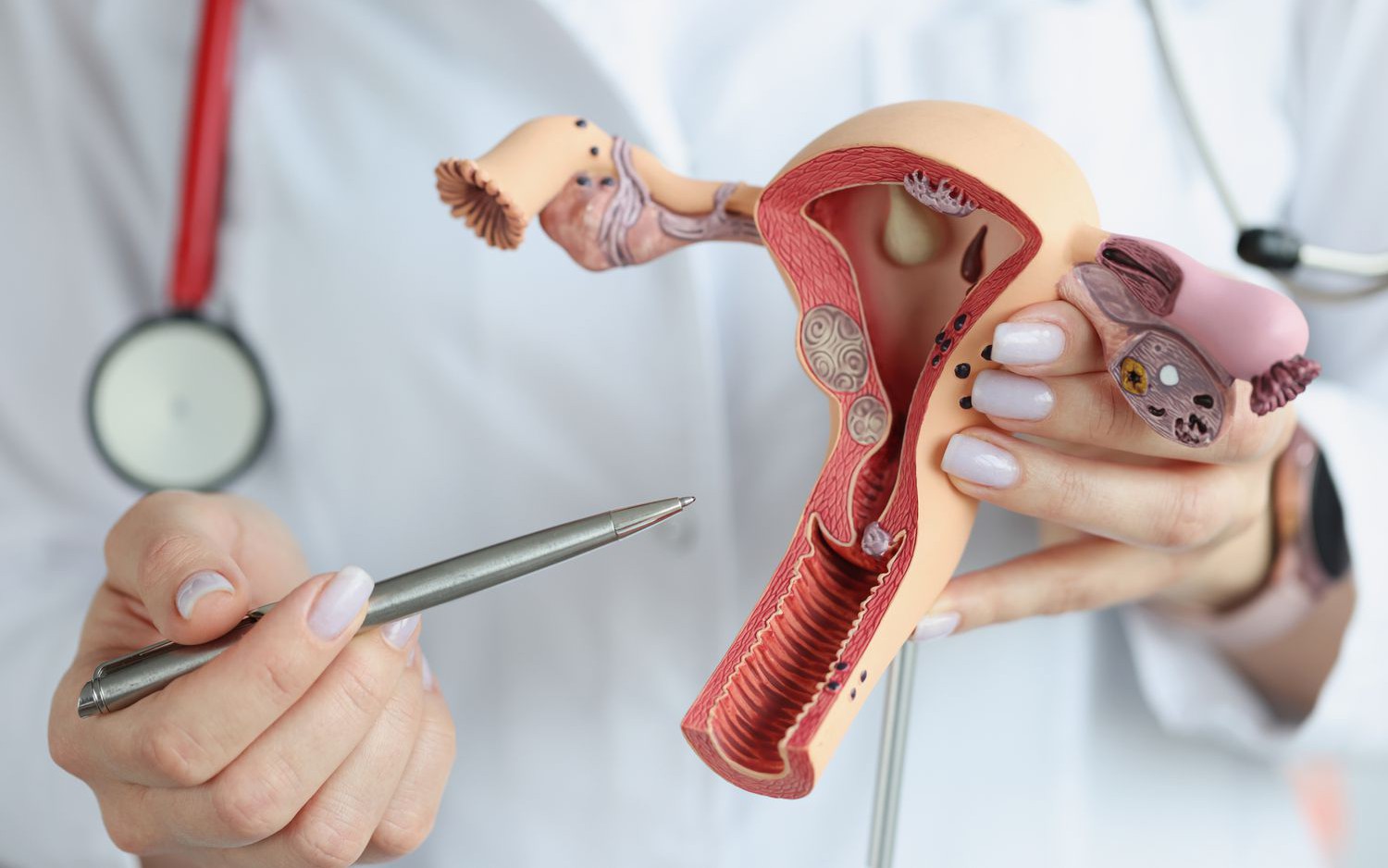 Kích thước âm đạo thế nào là bình thường, chiều sâu có ảnh hưởng đến chức năng tình dục không?- Ảnh 2.