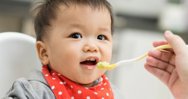 Cho trẻ ăn mỡ lợn như thế nào là phù hợp?