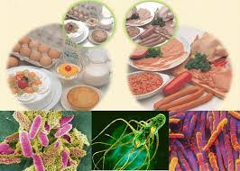 Bộ Y tế yêu cầu truy suất nguồn gốc thực phẩm vụ hơn 40 học sinh nghi ngộ độc ở Cà Mau- Ảnh 1.