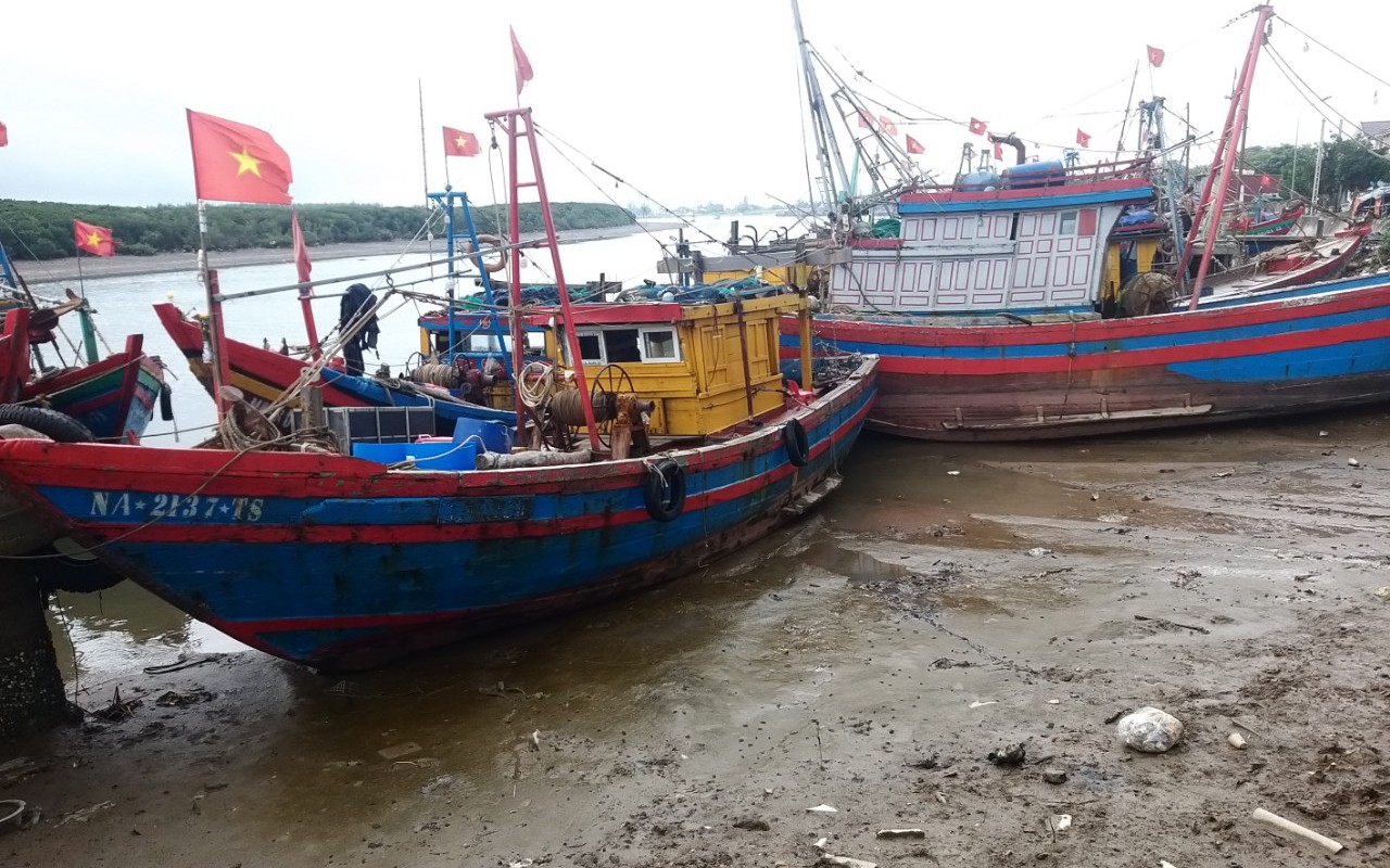 'Nghĩa địa tàu cá' làm khó ngư dân- Ảnh 2.