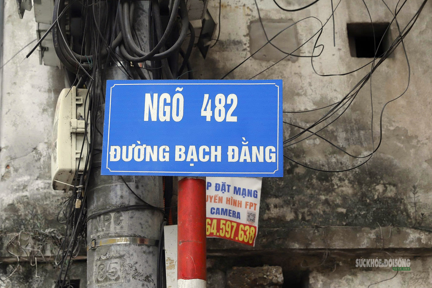 Người dân Bạch Đằng 'thần tốc' dọn nhà, nhường mặt bằng cho cầu Trần Hưng Đạo- Ảnh 2.