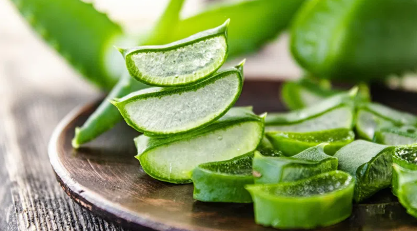 Nha đam có tác dụng gì?- Ảnh 1.