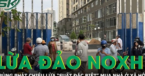 Bùng phát chiêu lừa ‘suất đặc biệt’ nhà ở xã hội