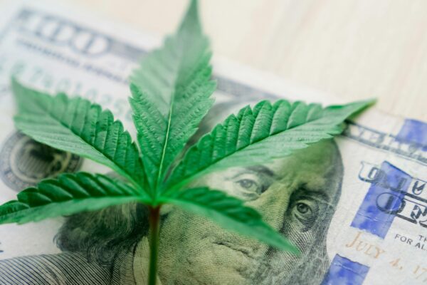 Bước ngoặt lịch sử trong chính sách kiểm soát cần sa tại Mỹ