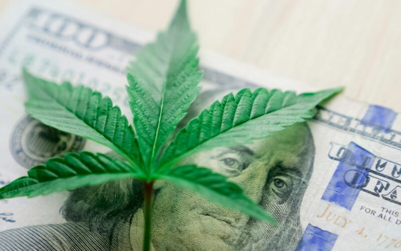 Bước ngoặt lịch sử trong chính sách kiểm soát cần sa tại Mỹ