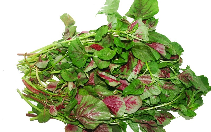 Bà bầu ăn rau dền được không và những lưu ý bà bầu cần ghi nhớ khi ăn -  HelloBacsi