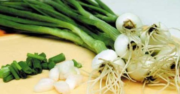 Những lợi ích khi ăn hành lá