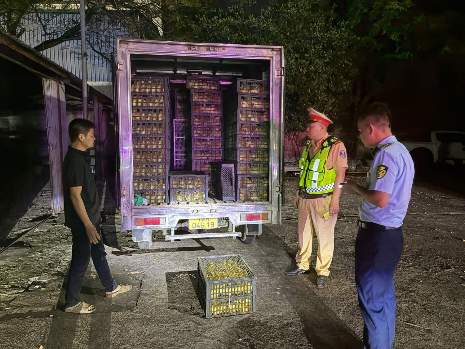 Quảng Ninh: Phát hiện xe tải chở 10.000 vịt con không rõ nguồn gốc trong đêm- Ảnh 1.