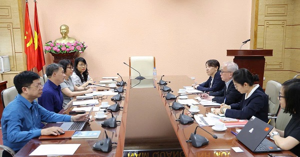 Thứ trưởng Bộ Y tế Trần Văn Thuấn tiếp, làm việc với Chuyên gia cố vấn chính sách của JICA