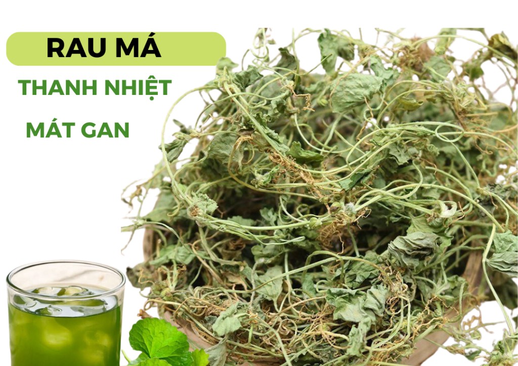 Giải nhiệt, thanh lọc cơ thể với rau má- Ảnh 1.