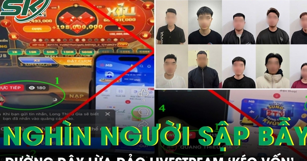 Sự thật phía sau livestream ‘kéo vốn’: Lừa đảo tinh vi, hàng nghìn người sập bẫy