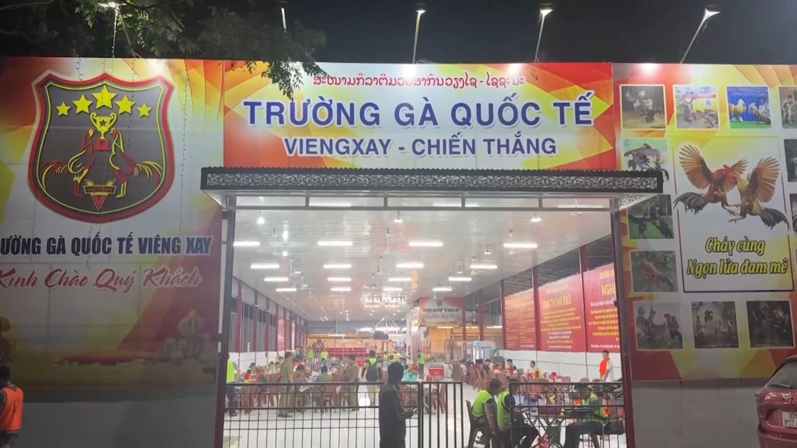 Triệt phá trường gà quốc tế Viêng Xay quy mô đặc biệt lớn- Ảnh 1.