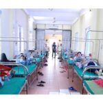 Phát hiện vi khuẩn Salmonella trong bánh mì gây ra vụ ngộ độc ở Nghệ An