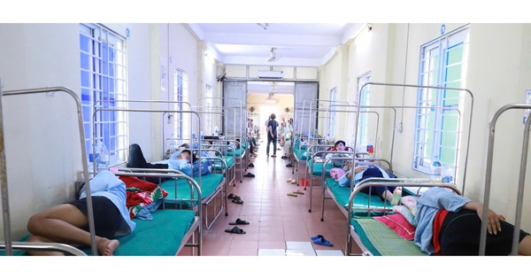 Phát hiện vi khuẩn Salmonella trong bánh mì gây ra vụ ngộ độc ở Nghệ An