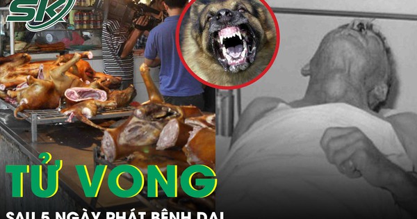 Chủ quán thịt chó tử vong sau 5 ngày phát bệnh dại